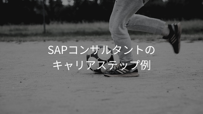 SAPコンサルタントのキャリアパスの例