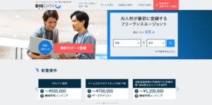データ分析の副業案件を探しで有名なビックデータナビ