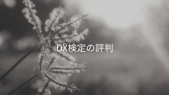 DX検定の評判