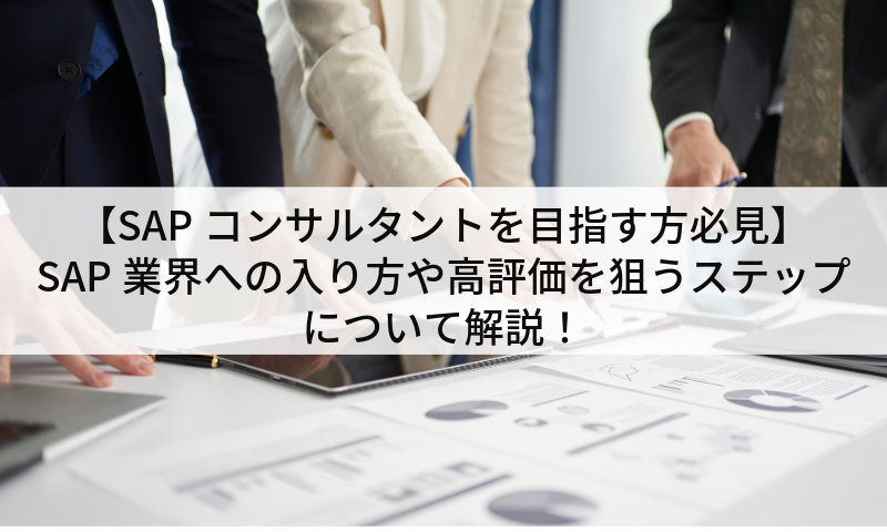 【SAPコンサルタントを目指す方必見】SAP業界への入り方や高評価を狙うステップについて解説！