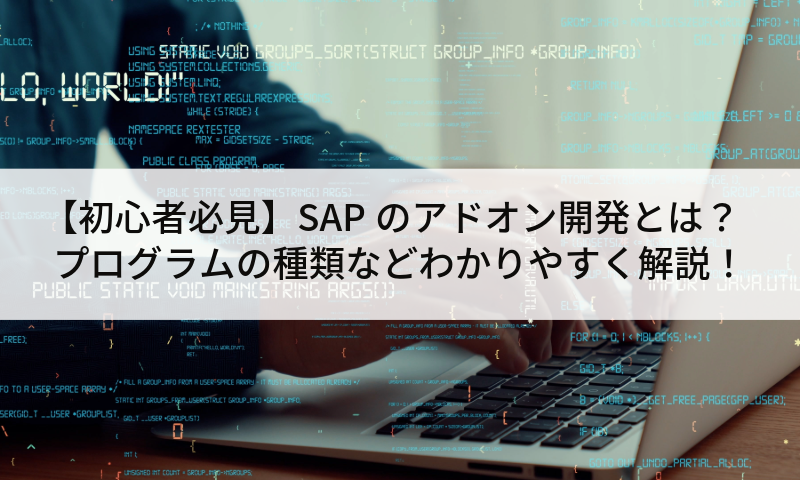 【初心者必見】SAPのアドオン開発とは？プログラムの種類などわかりやすく解説！
