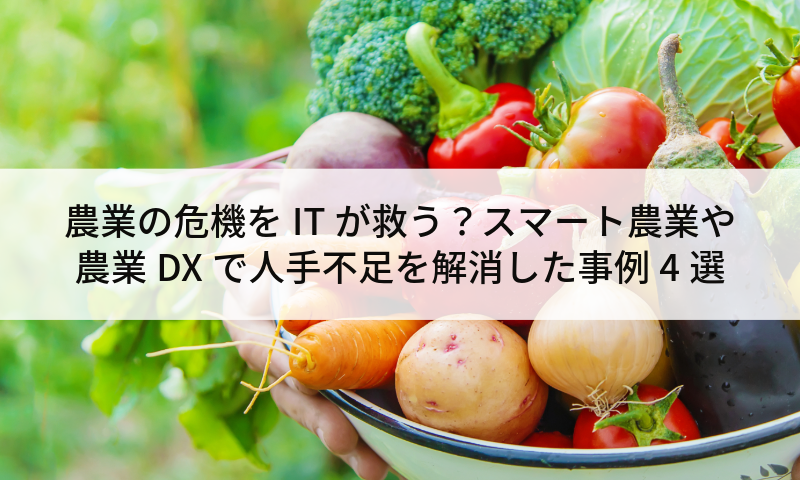 農業の危機をITが救う？スマート農業や農業DXで人手不足を解消した事例4選