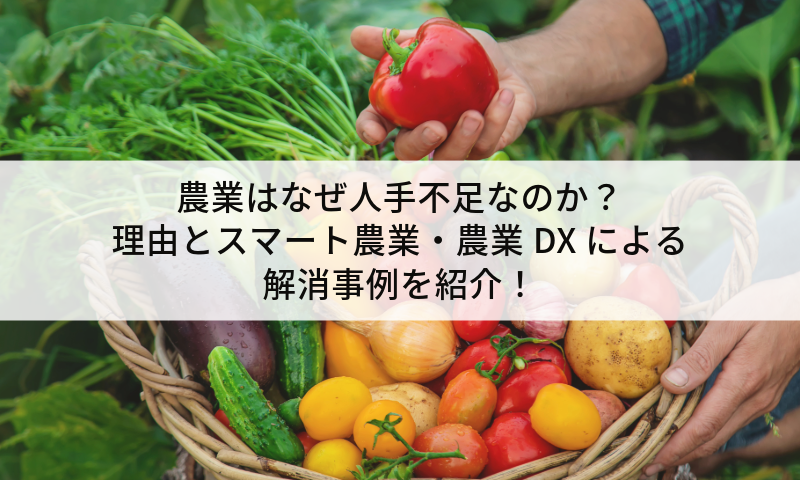 農業はなぜ人手不足なのか？理由とスマート農業・農業DXによる解消事例を紹介！